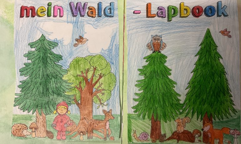 3a/3b: Lapbooks zum Thema Wald